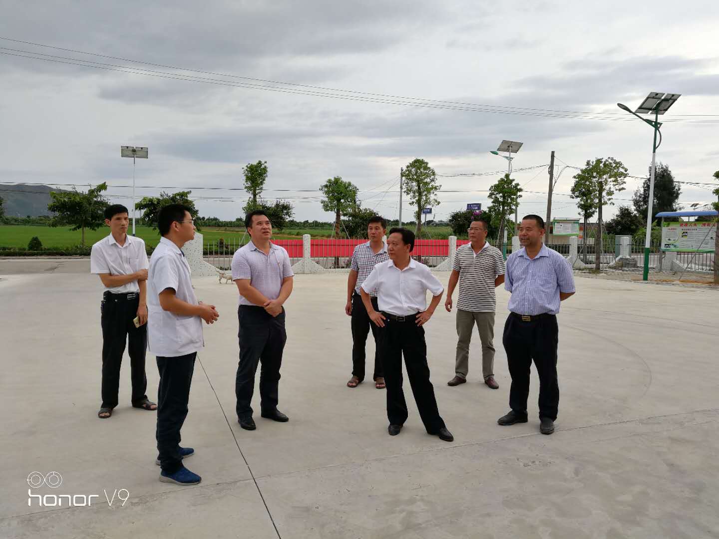 罗雪清与海丰县领导检查梅陇农场防台风工作